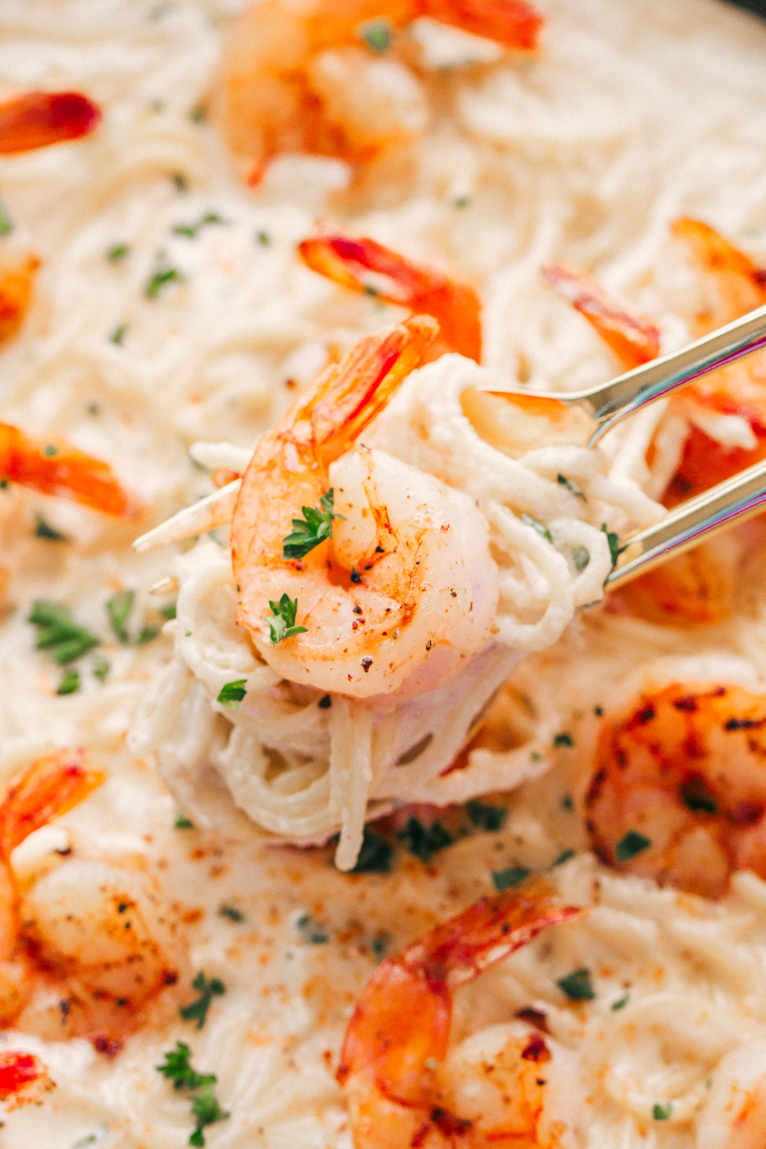 shrimp pasta recipes