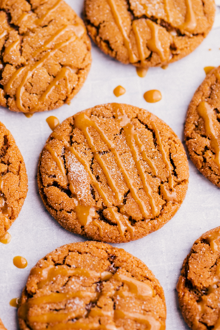 Easy Chewy Ginger Cookies Recipe | The Food Cafe | Just Say Yum